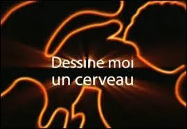 Pendant combien d'années le cerveau humain continue-t-il à se développer ?