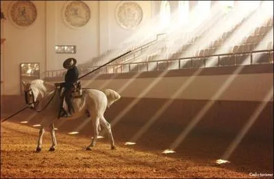 Où se situe l'école royale andalouse d'art équestre ?