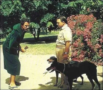 La série s'appelle :