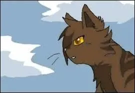 Quel est le nom de chaton de Griffe de Ronce ?