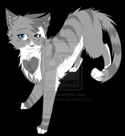 Quel est le nom de l'amour caché de Plume Grise ?