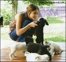 Violetta a 5 chiens