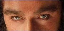 A qui appartient ces beaux yeux ?