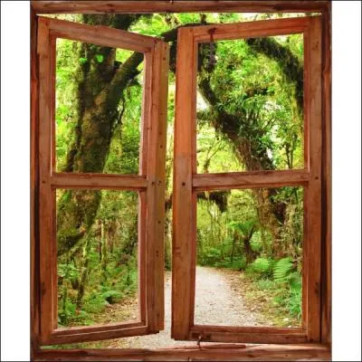 Dans une comptine qui regardait par la fenêtre un lapin venir à lui ?