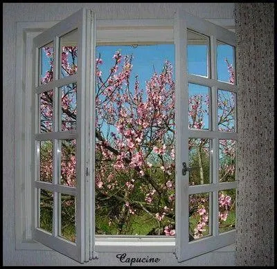 Laquelle de ces fenêtres n'existe pas ?