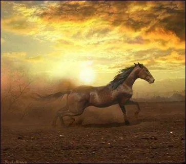 De quelle couleur est ce cheval ?