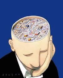 Quiz Cerveau