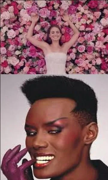 Quel est le bon titre ?