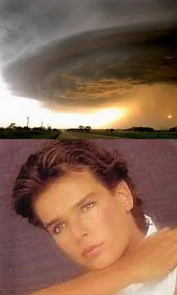 Quel est le bon titre ?