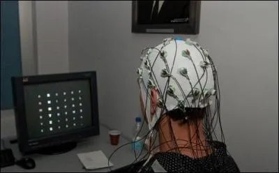 Quelle proposition n'est pas une approche complémentaire à l'étude des caractéristiques des cerveaux ?