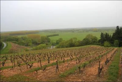 Le d&eacute;partement du Maine-et-Loire n'est pas limitrophe de celui :