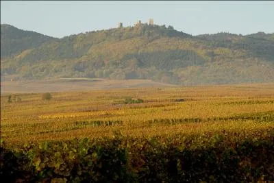 Le d&eacute;partement du Haut-Rhin n'est pas frontalier de celui :