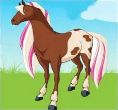 Et sa jument appaloosa ?