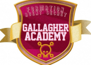 Quiz  Gallagher Academy 