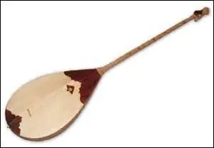 Comment s'appelle cet instrument ?