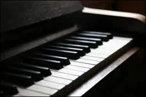 Comment s'appelle cet instrument ?