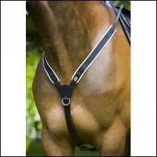 Quel nom porte cette lanière ?