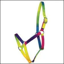 Quelle est cette pièce du harnachement ?