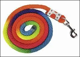 Cette lanière porte le nom de :