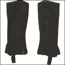 Que voyez-vous sur la photo ?