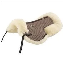 Comment nomme-t-on cet équipement ?