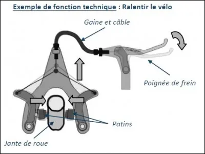 Cette représentation est