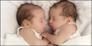 Vous n'allez évidemment pas vous tromper, et choisirez ------.