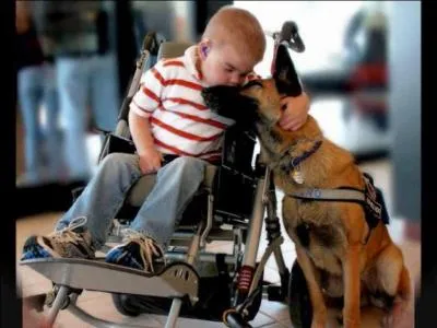 Ne te crois point si important que les autres te paraissent insignifiants.