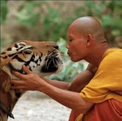 J'ai appris que le courage n'est pas l'absence de peur, mais la capacité de la vaincre.
