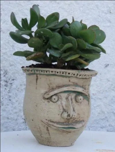 Lorsque que l'on se cogne la tête contre un pot et que cela sonne creux, ça n'est pas forcément le pot qui est vide.