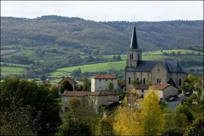 Le Mayet-de-Montagne est une ville :