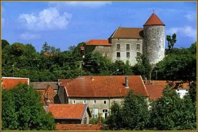 Le week-end prochain, vous aller à un anniversaire à Gondrecourt-le-Château, dans quel département irez-vous ?