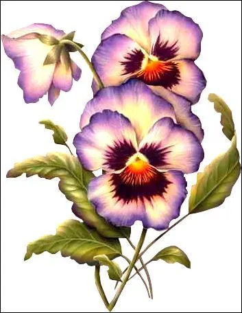 Stanislaw Jerzy Lec : "... métamorphosent le cerveau lui-même."