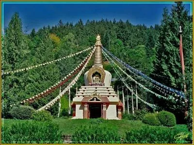 Dalaï Lama : "Nul besoin de temples, nul besoin de philosophies compliquées. Notre cerveau et notre cur sont nos... ! "