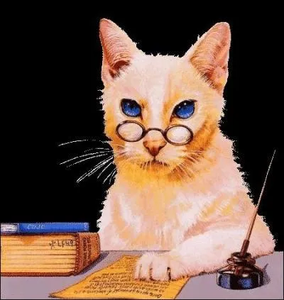 Albert Camus : "... est quelqu'un dont le cerveau s'absente lui-même."