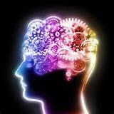 Quiz Cerveau