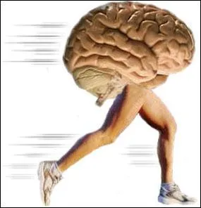 Qu'appelle-t-on "la fuite des cerveaux" en France ?