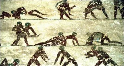 Quelle est la discipline sportive où les étudiants excellaient le plus ?