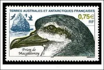 Cet oiseau de mer est un solitaire, mais il n'en fait pas une maladie, même s'il peut être "de la Désolation". Pour lui, mes ouailles :