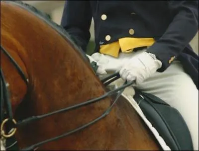En concours de dressage on a obligatoirement une bombe.