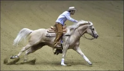 Quelles sont les trois disciplines équestres représentées aux Jeux olympiques ?