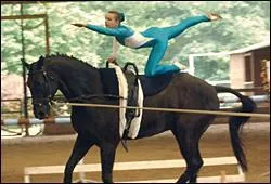 L'étendard est une figure imposée de voltige en cercle.