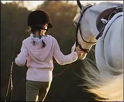 Qu'est-ce que le sport équestre ?