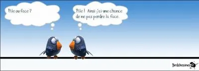 Toutefois, de peur de faire un mauvais score, si vous avez hésité à jouer ce quiz :