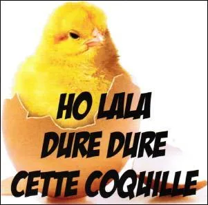 Si par contre, vous me faites gentiment remarquer mes "coquilles" :