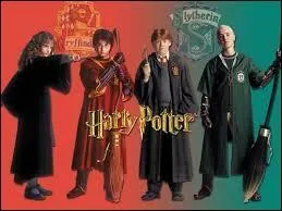 Quelle matière Rogue a-t-il enseigné pendant plus de 4 ans ?