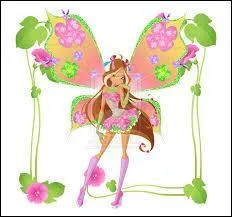 Quelle est cette transformation ?