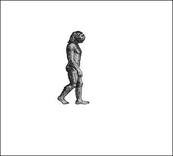 Qu'y a-t-il dans le cerveau de -----------.