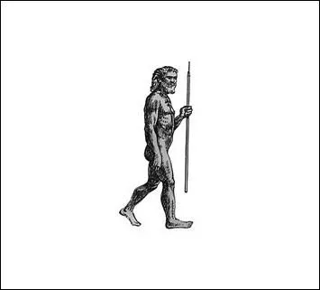 Qu'y a-t-il dans le cerveau de -----------.