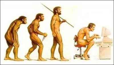 Qu'y a-t-il dans le cerveau du -----------.